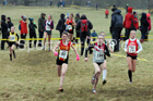 Girls under-15s, 2018 Northern Cross Country Champs., Harewood House, Leeds. Photo: David T. Hewitson/Sports for All Pics